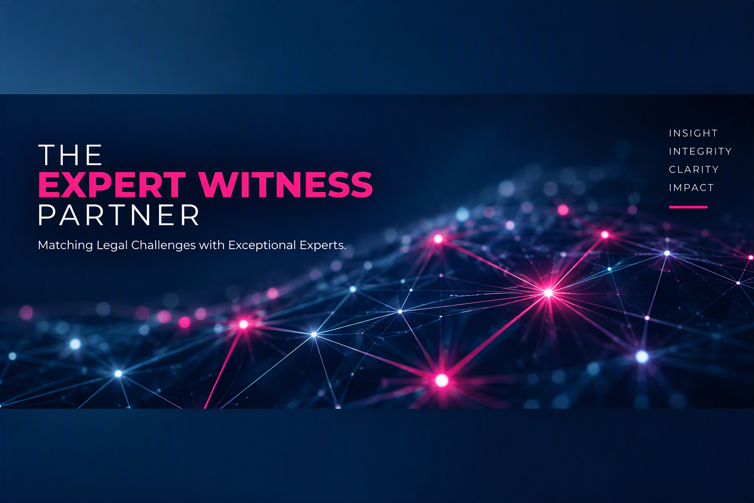 The Expert Witness Partner